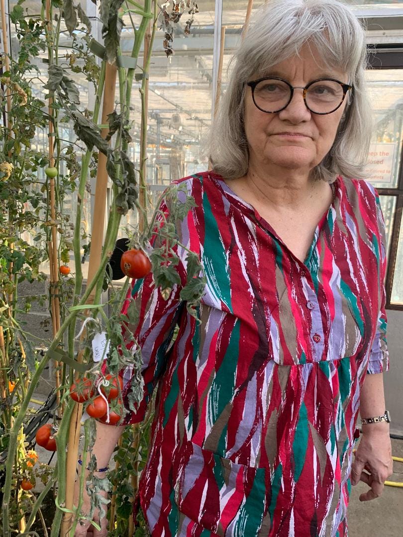 Professor Cathie Martin, pictured with some of her tomatoes